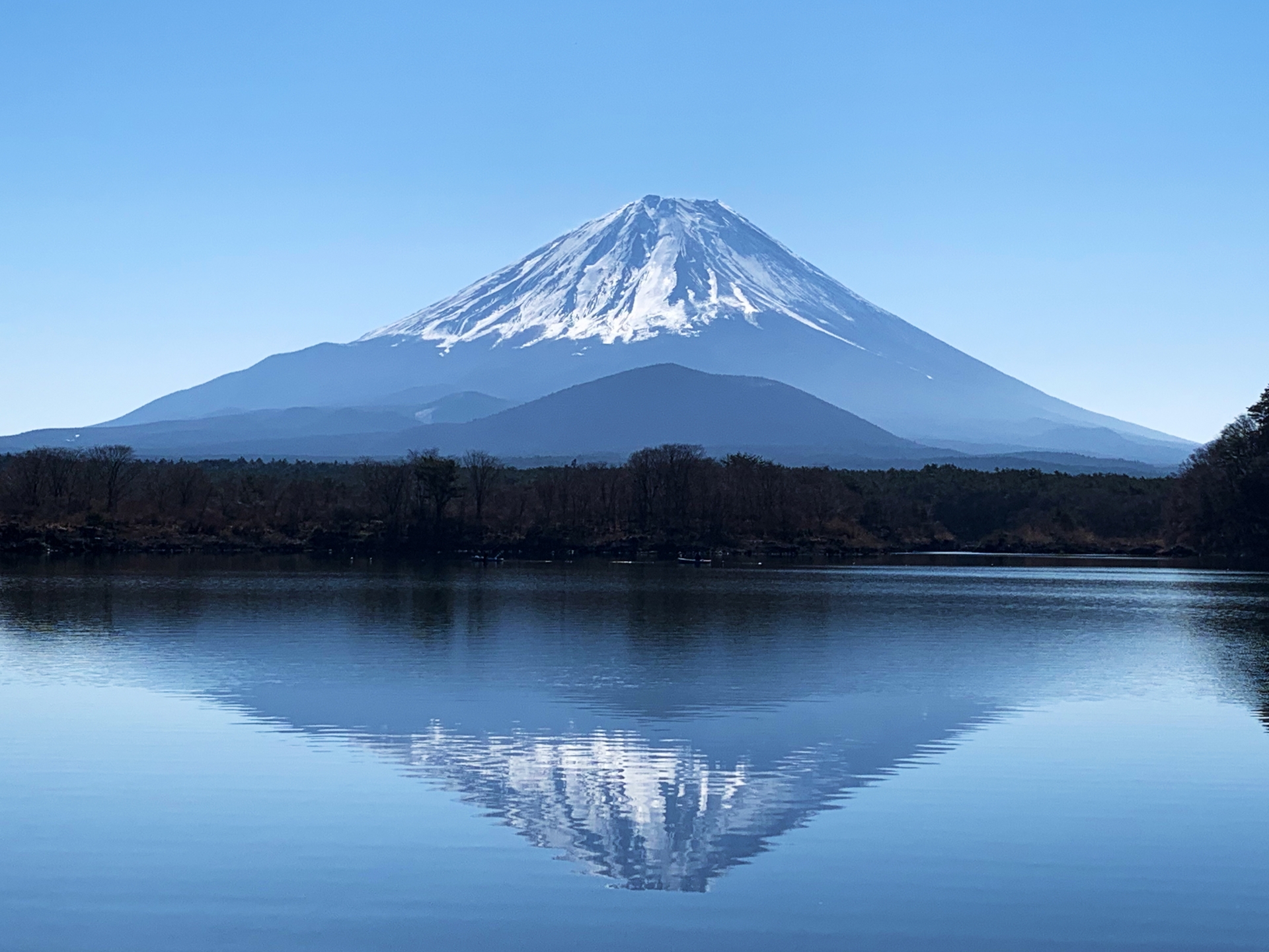 横山大観の富士山絵画